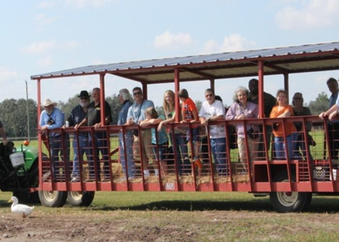 Hayride