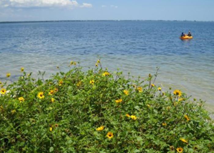 Fred Howard Beach Park