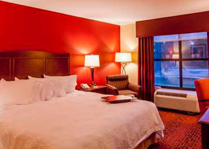 King Room Hampton Inn & Suites Tampa North Hotel