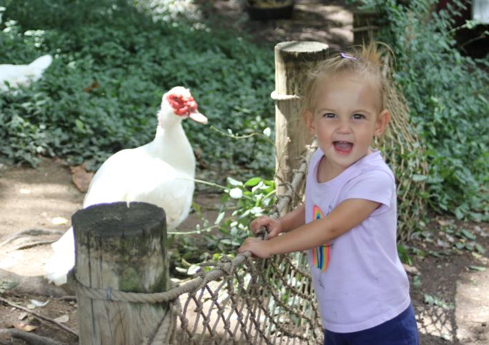 little girl with duck