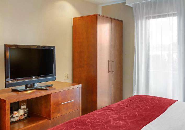 Guest Suite - Bedroom with TV