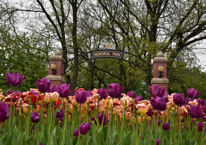 Memorial Park