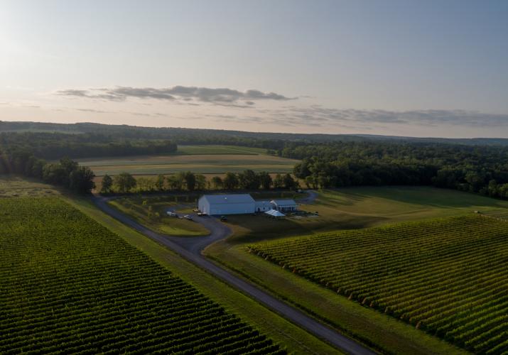 Drone image of boundary breaks vineyards