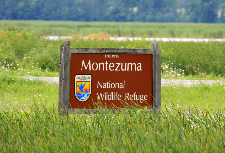 Montezuma Wildlife Refuge