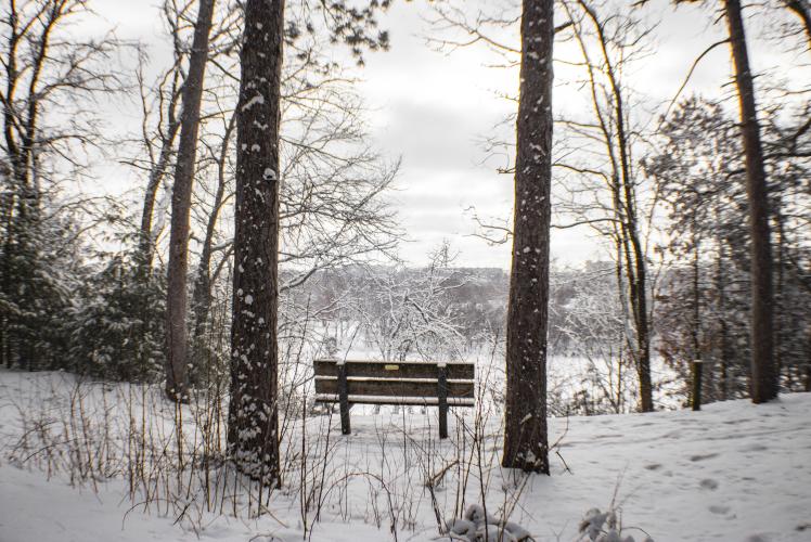 Carson Park in Winter bench