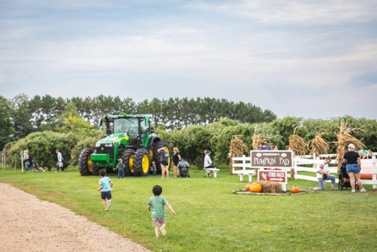 Ferguson’s Orchards