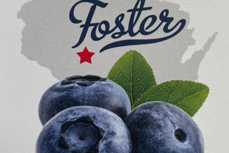 Foster Blueberry Farm Logo