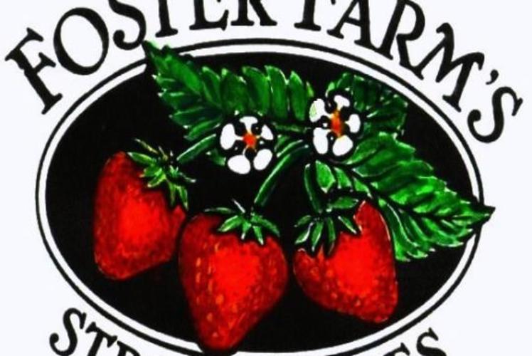 Foster Farm's Strawberries