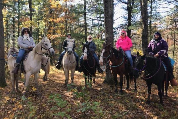 Wilderness Pursuit Horseback Adventures: group riding horses