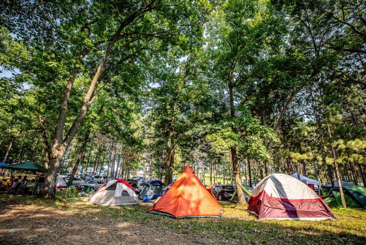 The Pines Music Park