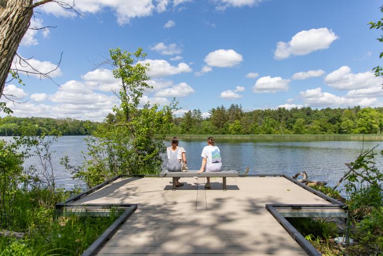 Half Moon Lake Boardwalk Trail