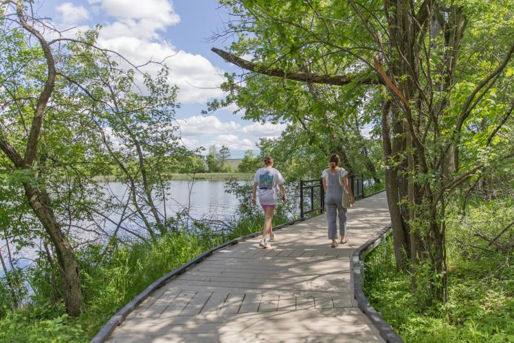 Half Moon Lake Boardwalk Trail