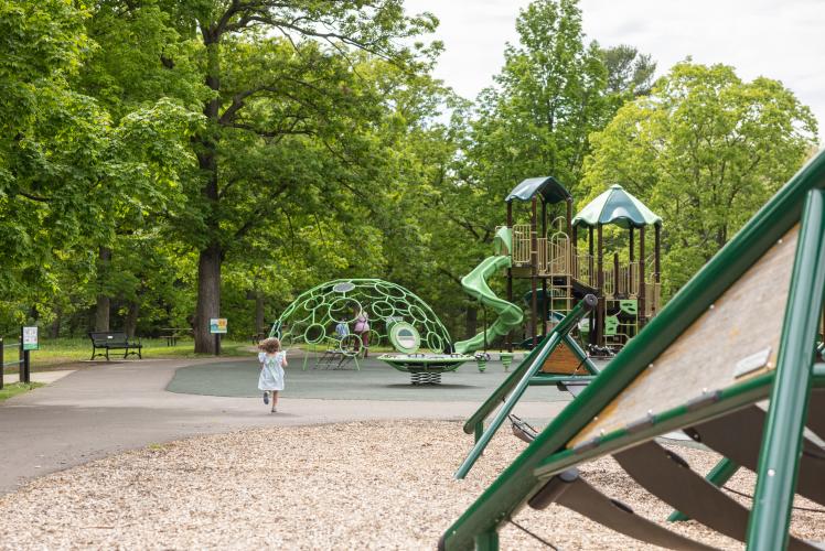 Carson Park Playground