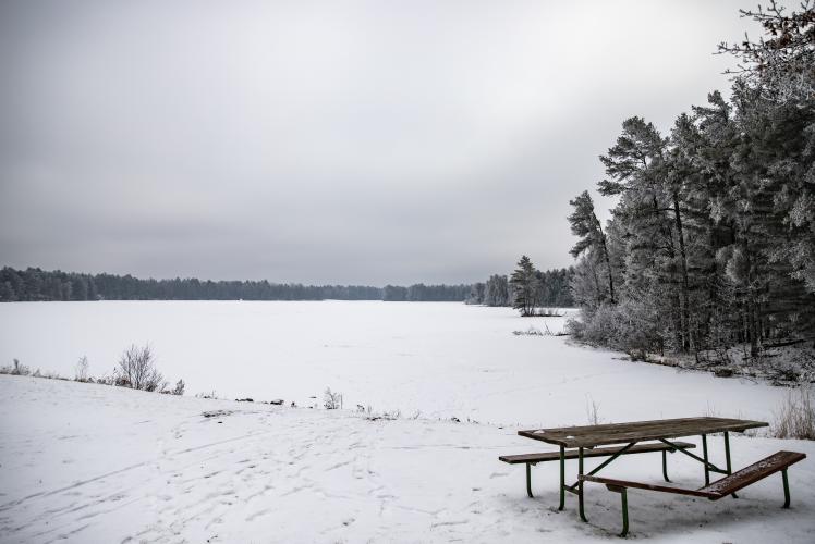 Coon Fork Lake County Park in Winter