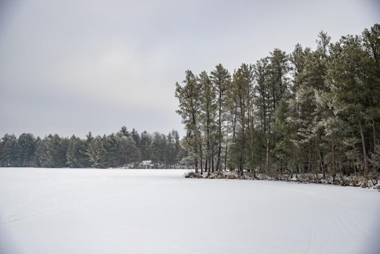 Coon Fork Lake County Park in Winter