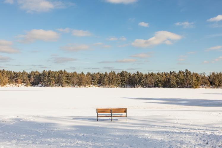 Coon Fork Winter