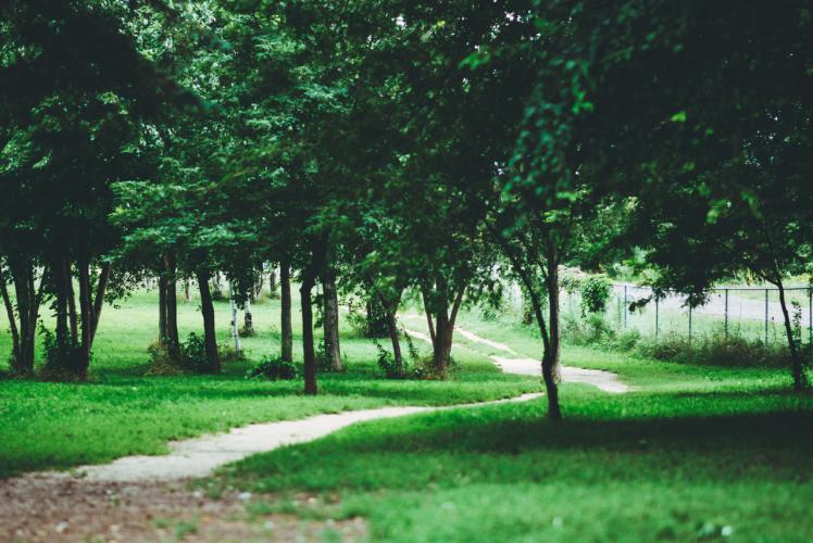 Otter Creek Dog Park in Eau Claire, Wi