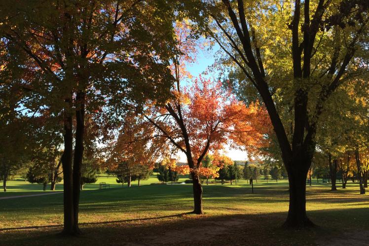 Princeton Valley Golf Course - Fall View