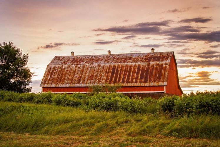 Brittany Lucille Photography - Rural Farm Scape