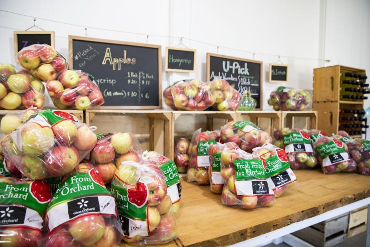 The Glass Orchard apples