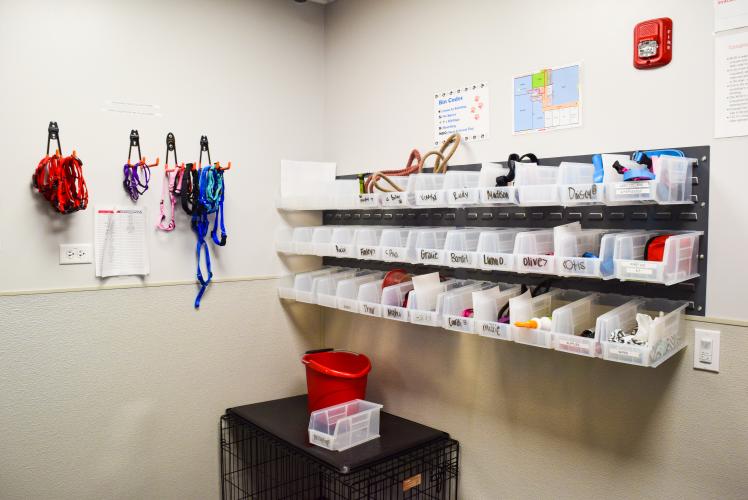 Leash and Collar Bins