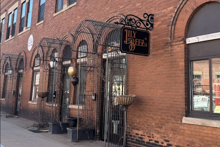 Lilly Beez LLC