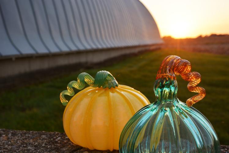 The Glass Orchard in Eau Claire, WI: Apple Orchard and Glass Studio (Glass Pumpkins)