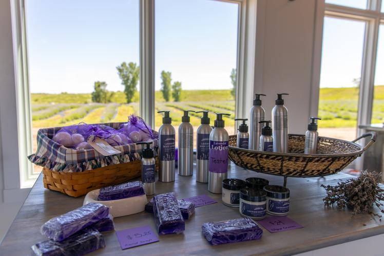 Pondview Lavender Farm