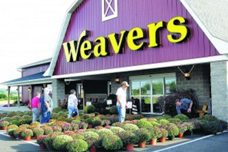 Weaver's