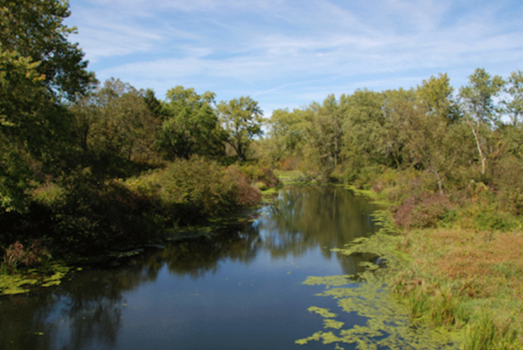 Tiffany Wildlife Area