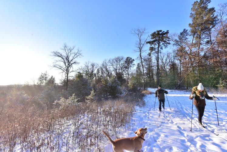 Tower Ridge County Park Skiing