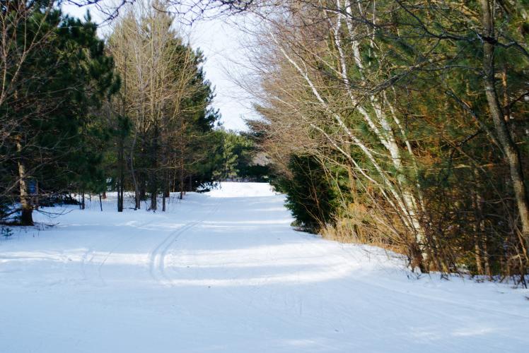 Lowes Creek County Park