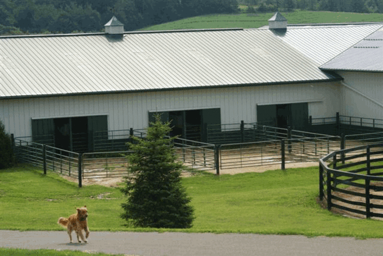 Shady Lane Stable in Fall Creek, Wisconsin
