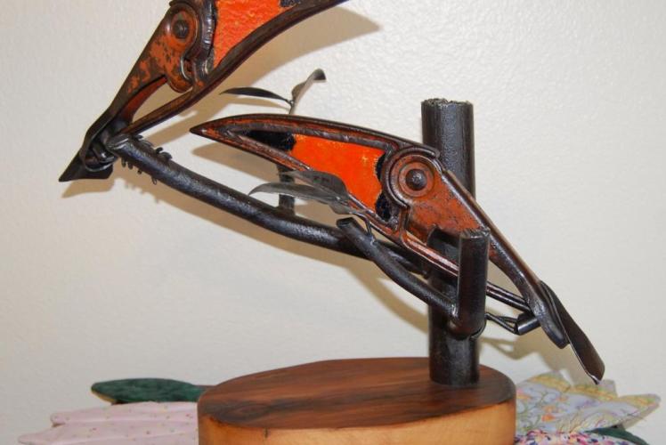 Toucan VII