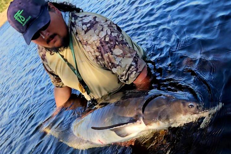 Musky Fly Fishing Guide