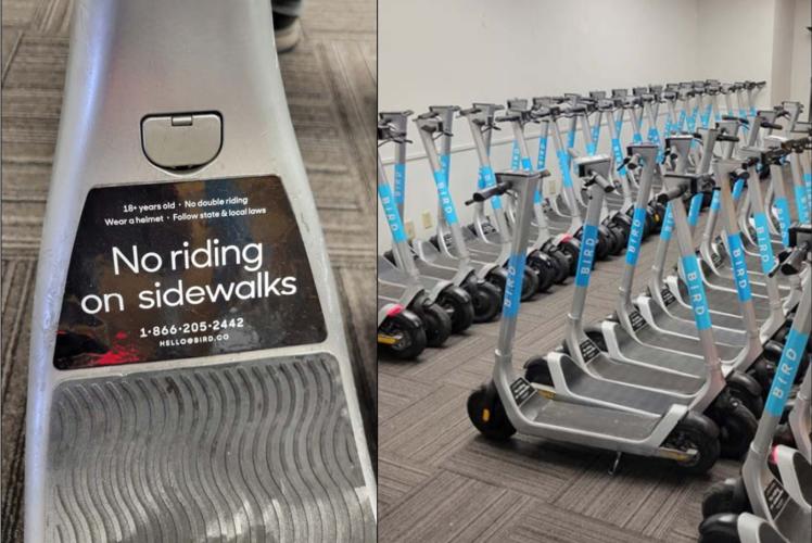 BIRD Scooters