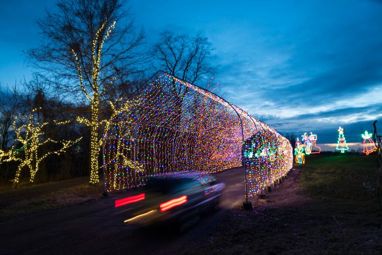 Shady Brook Light Show