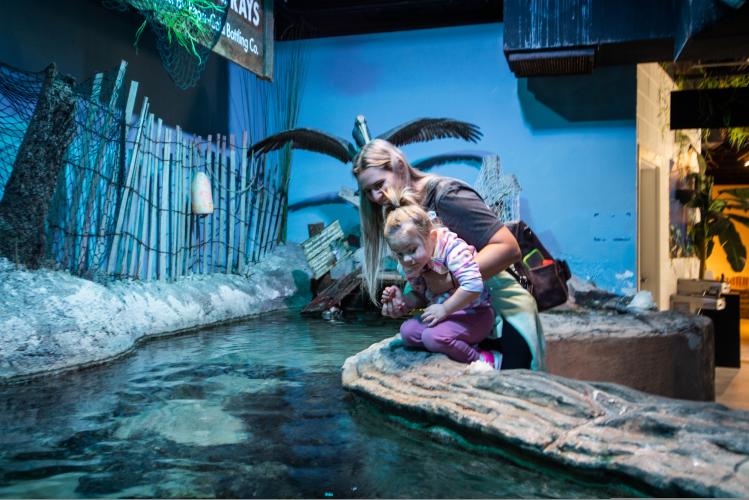 Catawba Science Center - Sting Ray - Kids