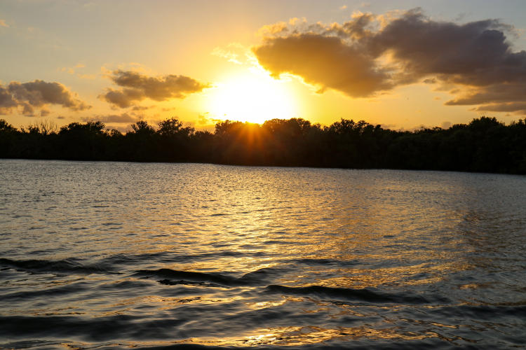 Lakeline