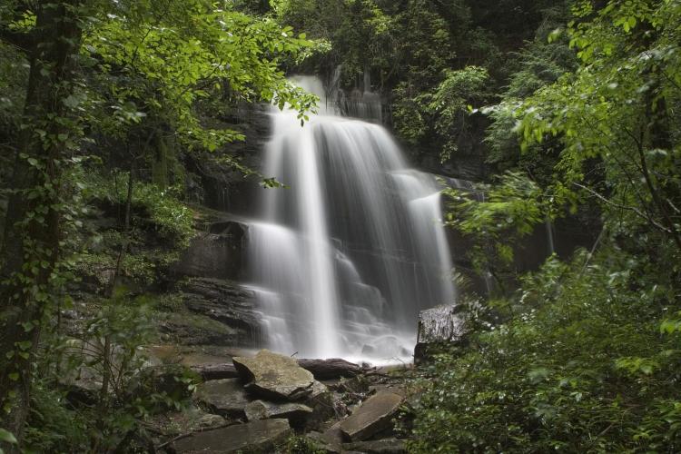 Waterfall with Green leaves surrounding it