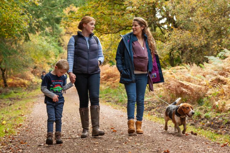 Six reasons to plan a forest trip this winter