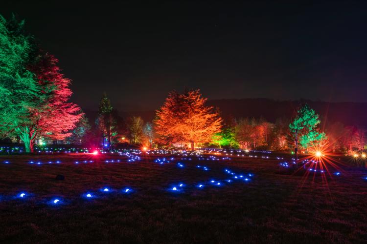 RHS GLOW