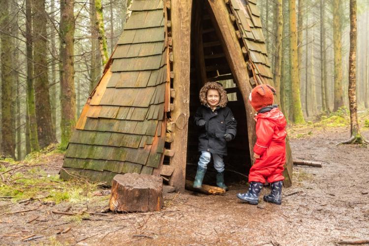 Six reasons to plan a forest trip this winter