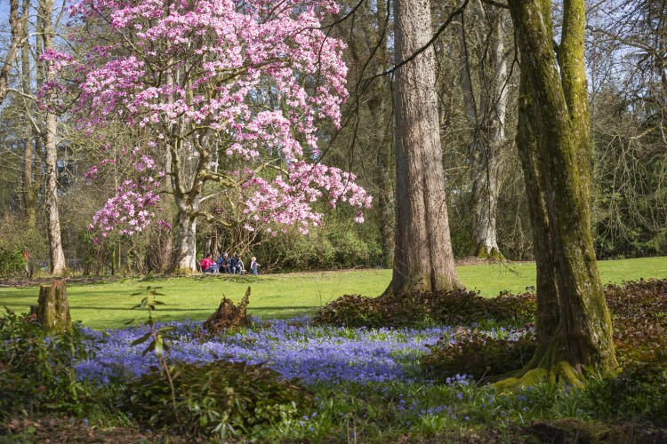 The gardens in spring at Knightshayes, Devon ©National Trust Images, James Dobson.jpg