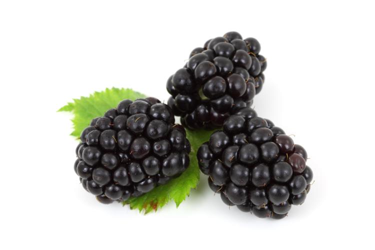 Blackberries