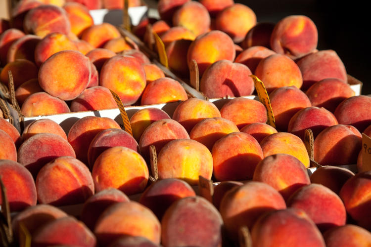 Gillespie County is one of the largest peach producing counties in Texas.