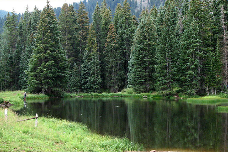 Medicine Lake