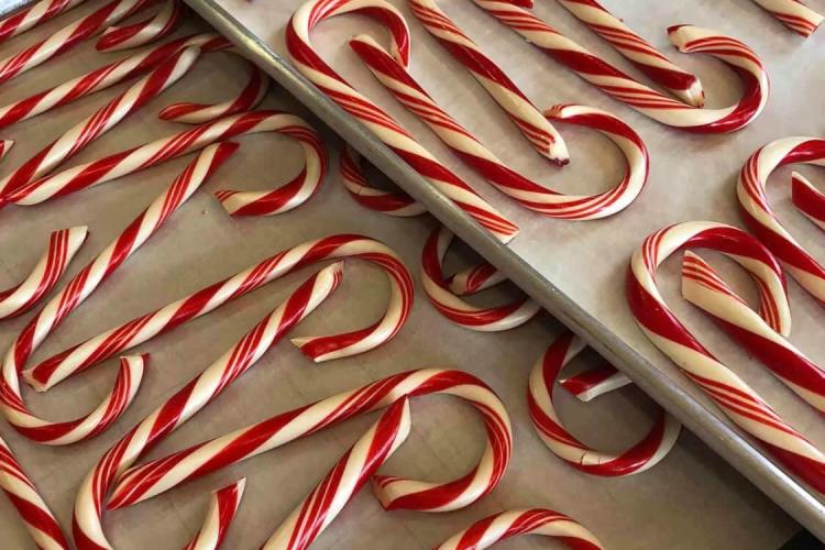 Trays of Candy Canes at McCord Candies in Lafayette