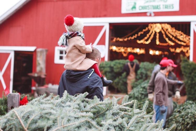 A father and child with their Christmas tree for the holiday season at Dull's Tree Farm in Thorntown