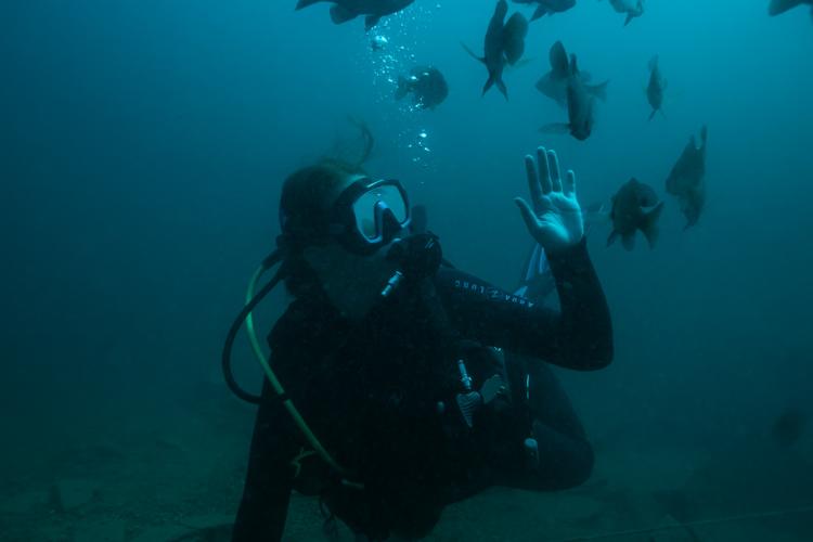 France Park Scuba Diving